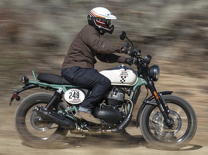 Bear 650